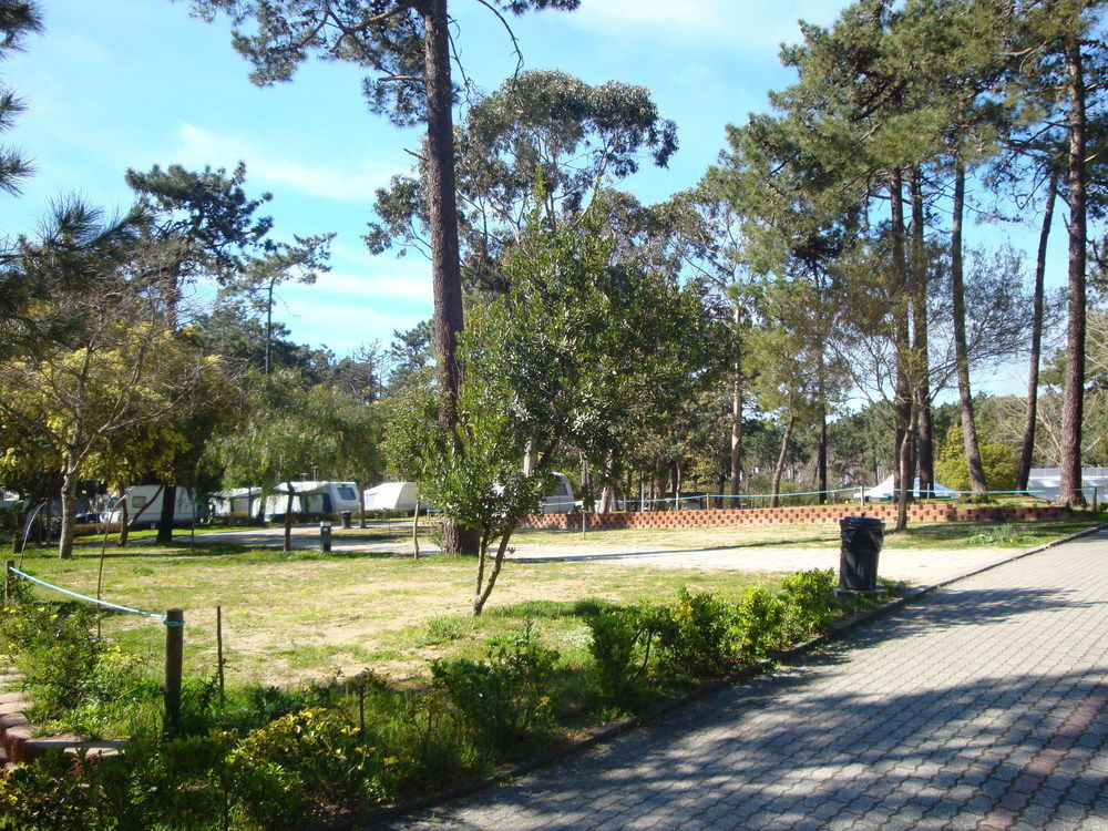 Parque De Campismo Orbitur Caminha Hotel Buitenkant foto