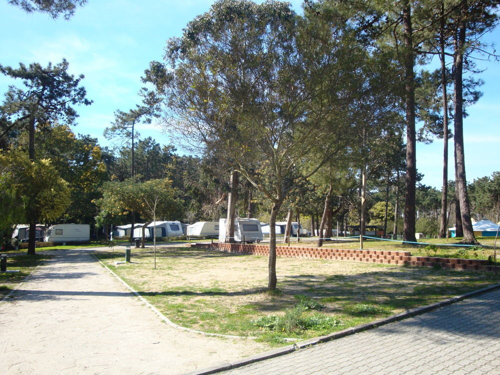 Parque De Campismo Orbitur Caminha Hotel Buitenkant foto